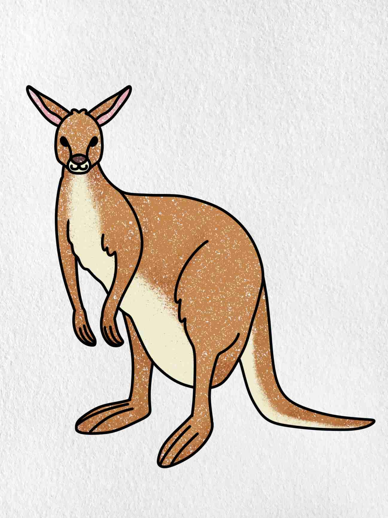 draw a kangaroo