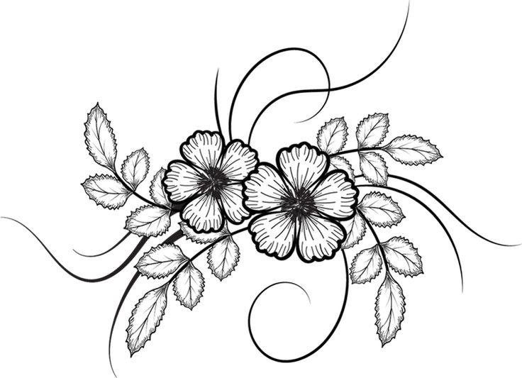drawing flower png