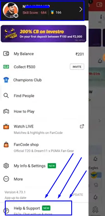 dream11 account delete