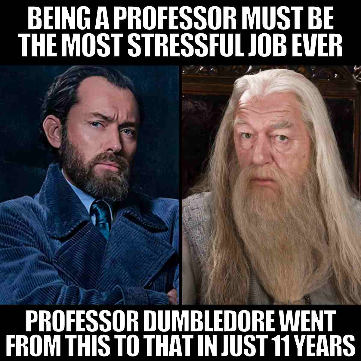 dumbledore meme