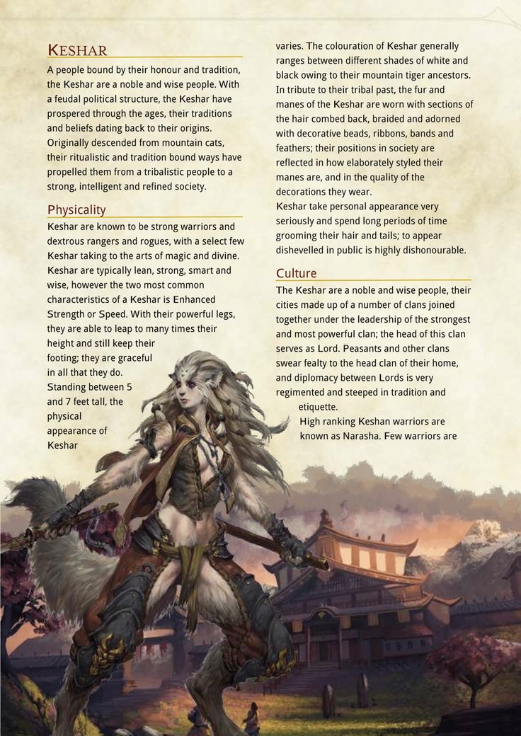 dungeons and dragons homebrew