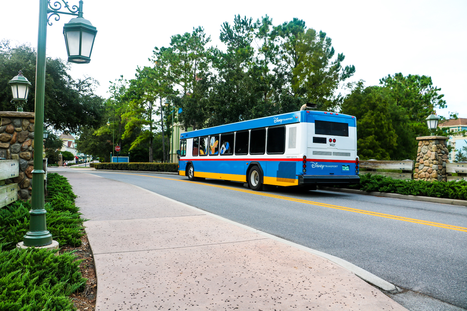 dvc more bus stop