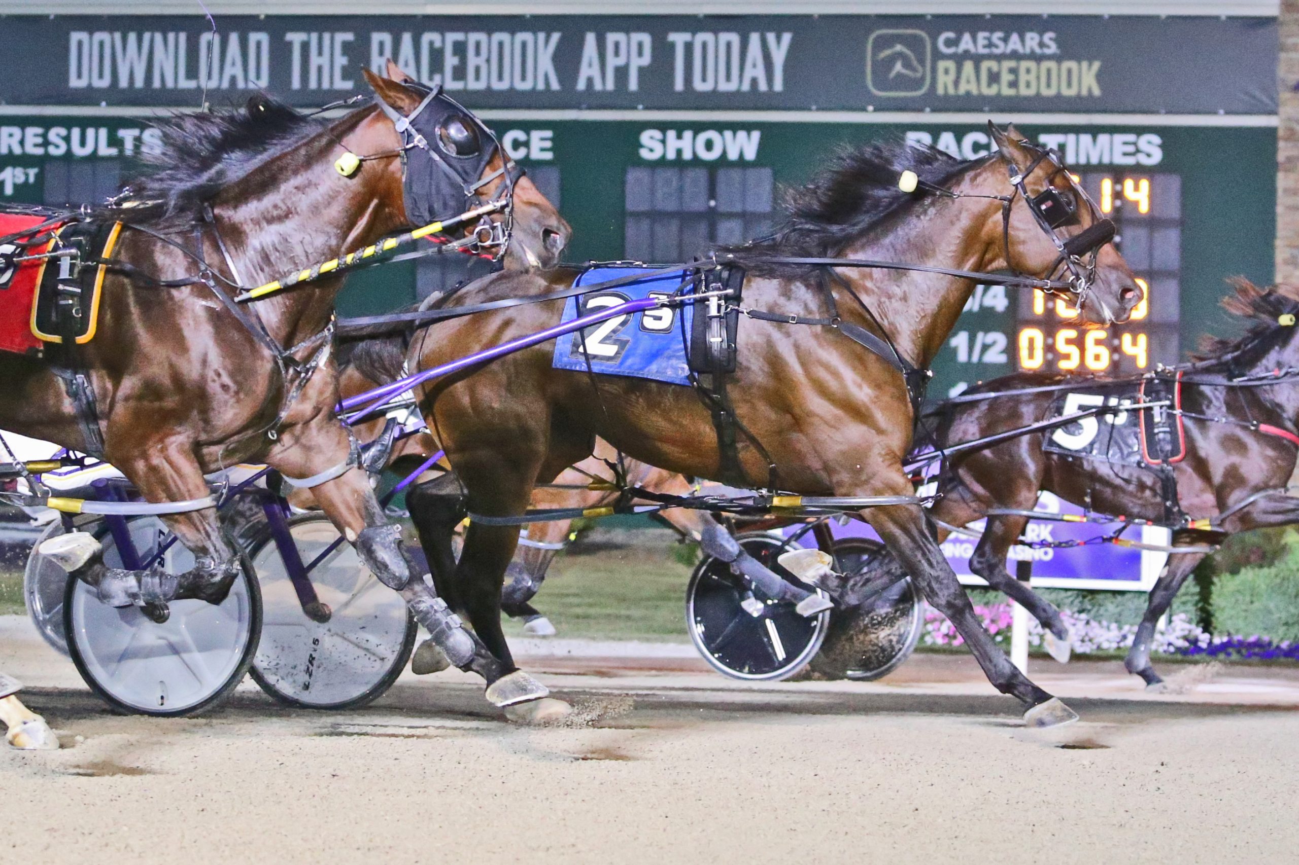 hoosier park racing results