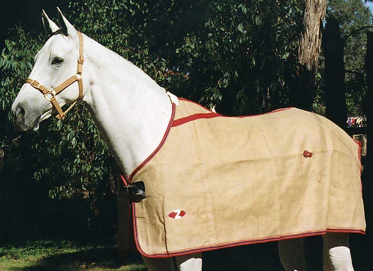 jute horse rugs