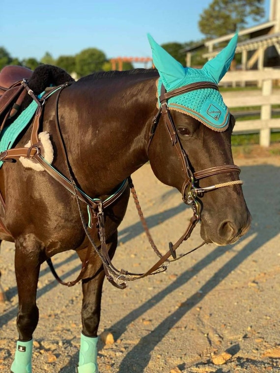 teal horse tack