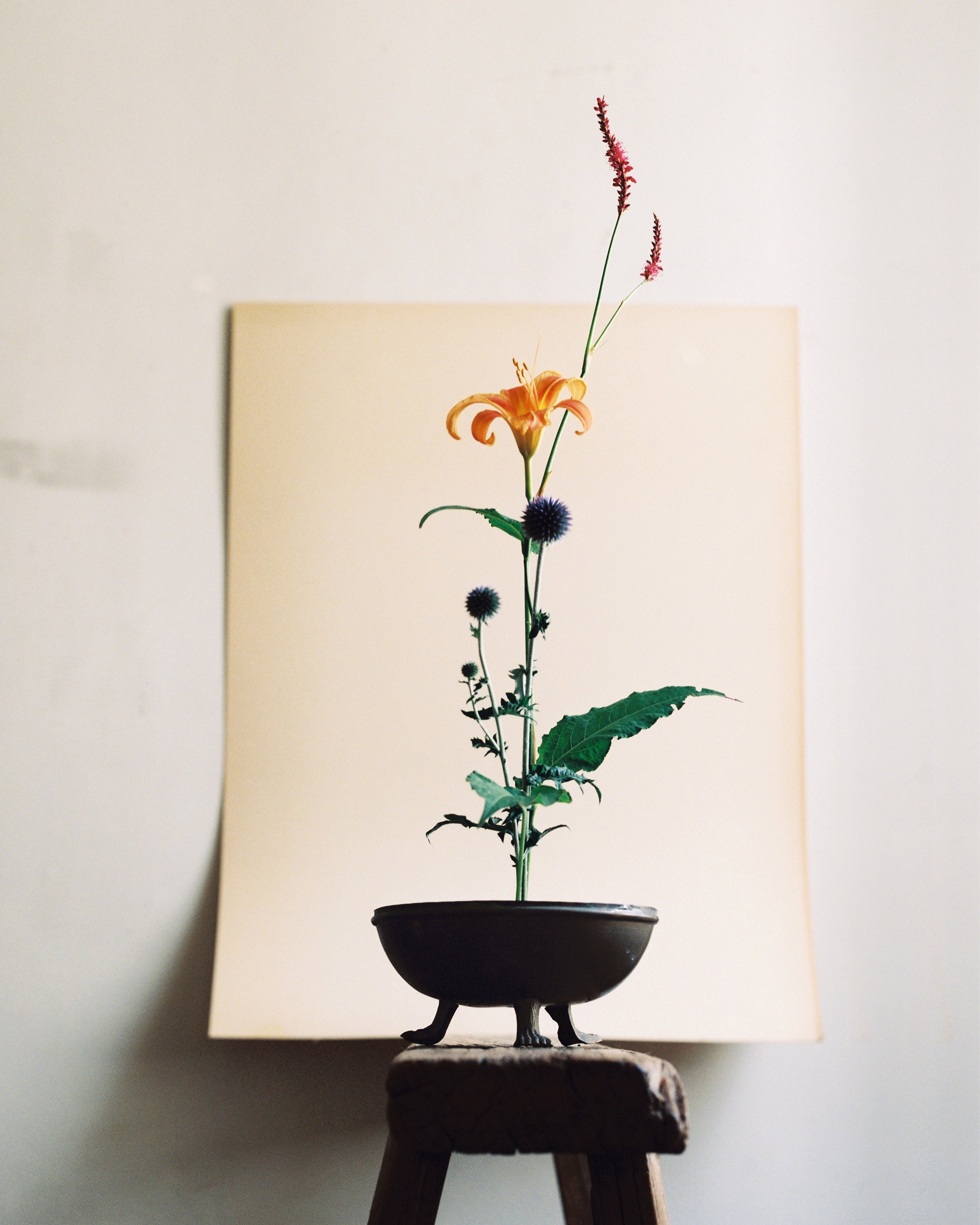 abad ikebana