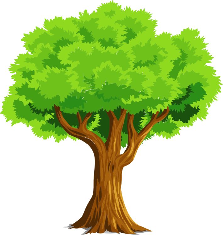 trees clipart