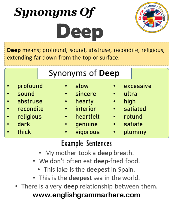 rotund synonym