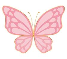 butterfly vector pink