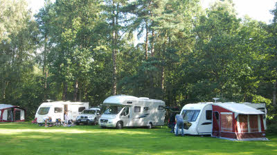 camping in thetford forest norfolk