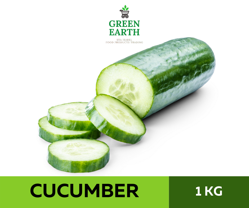cucumber price philippines 2019