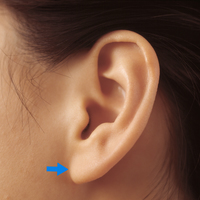 ear türkçe anlamı