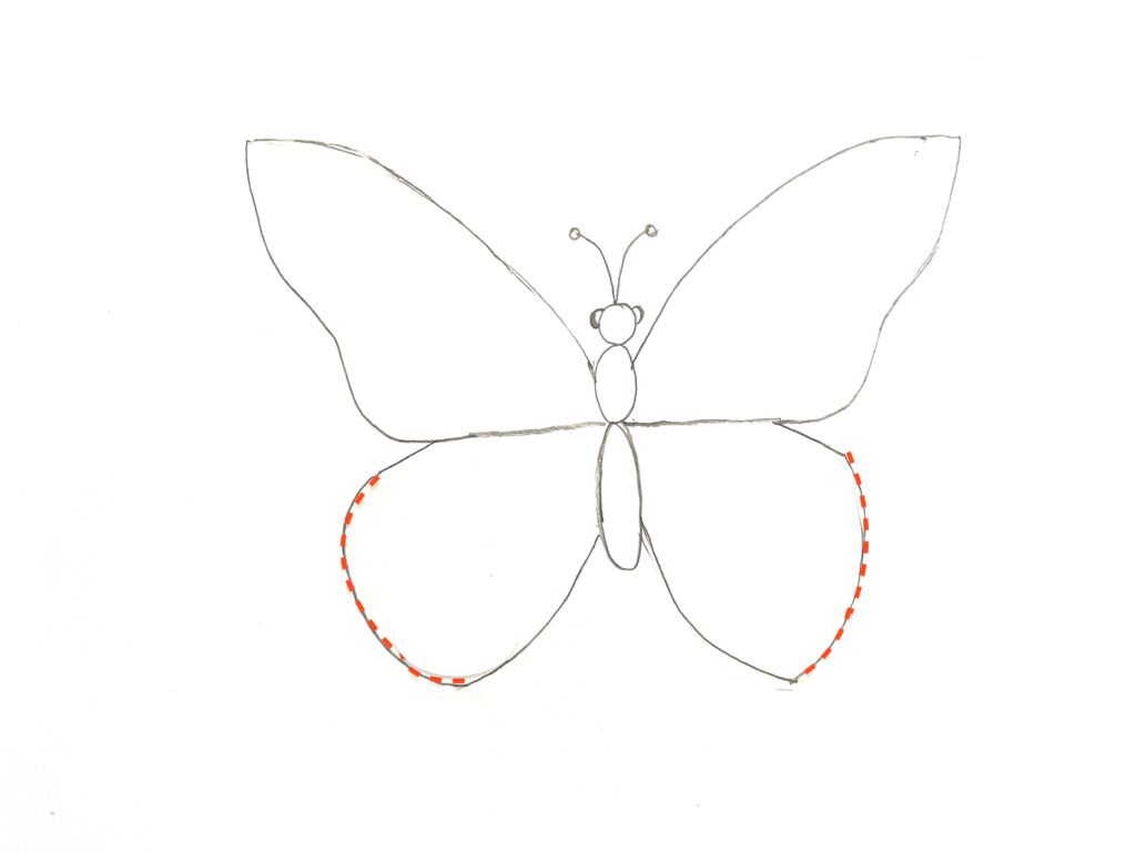 easy drawn butterfly