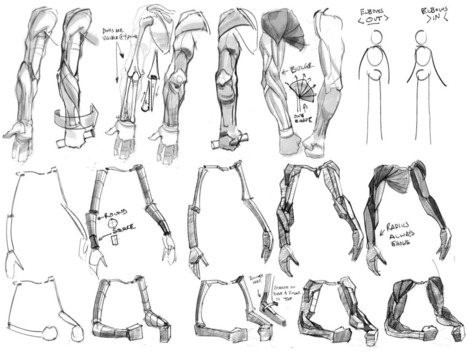 arm drawing reference