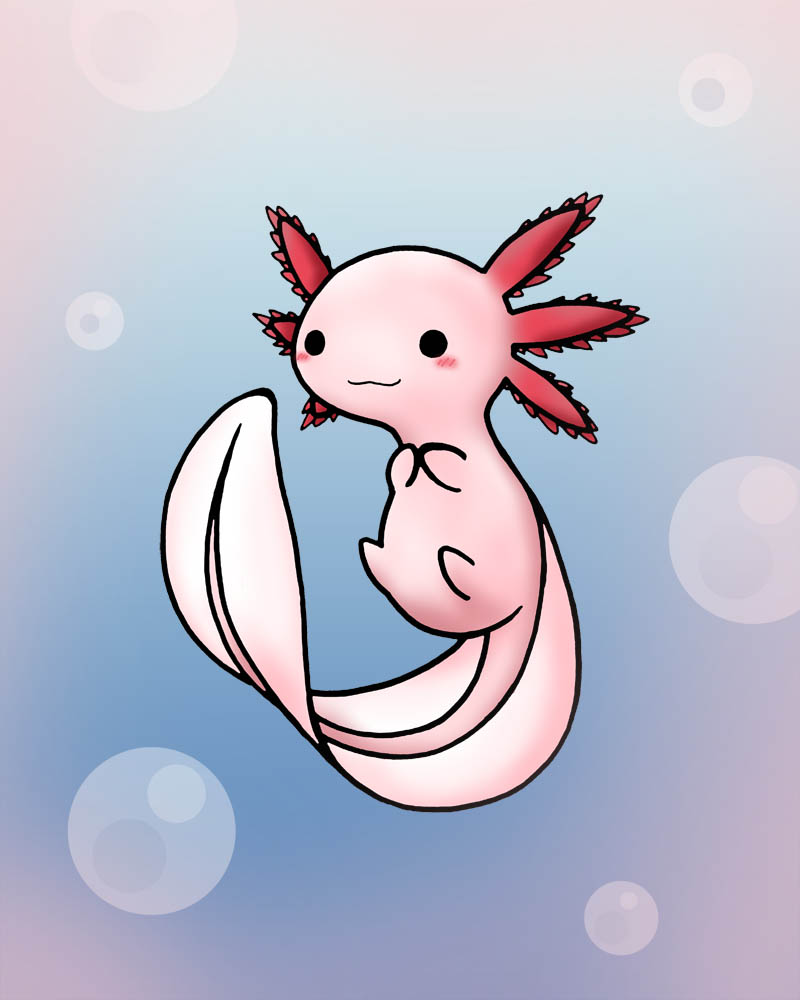 chibi axolotl