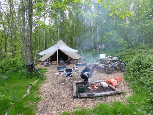 eco camp uk beech estate woodland campsite