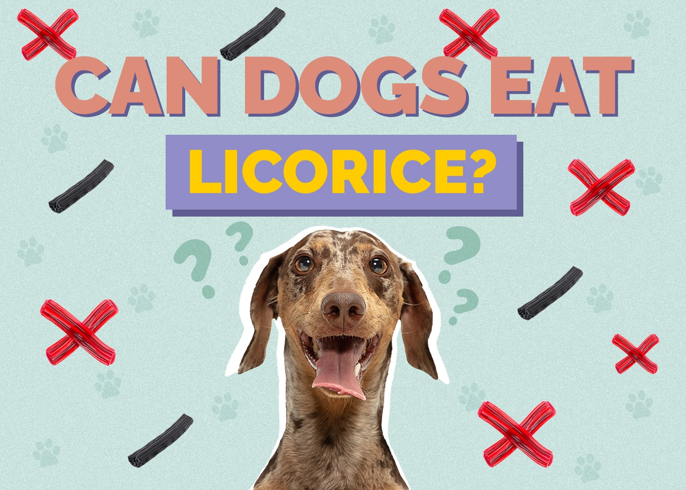 can a dog eat licorice