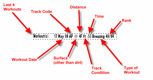 equibase workouts