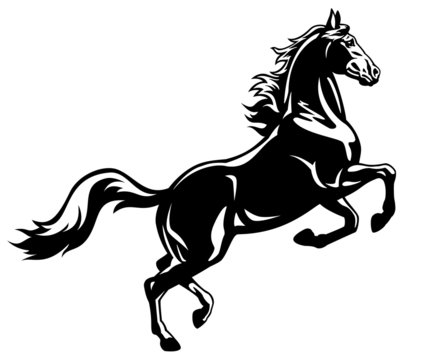 equine vector