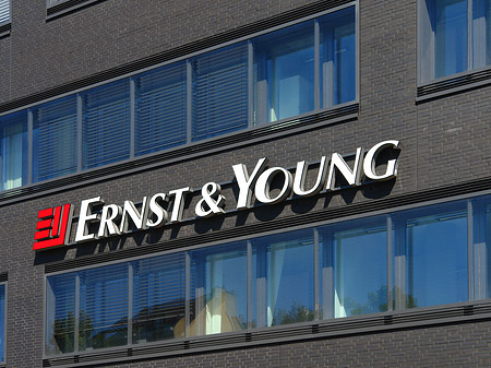 ernst and young kochi