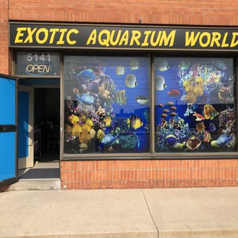 exotic aquarium world