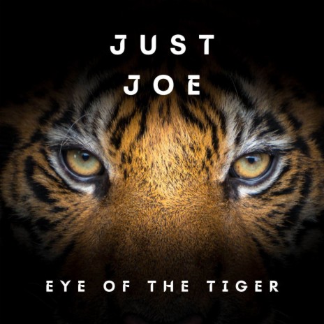 eye of the tiger mp3