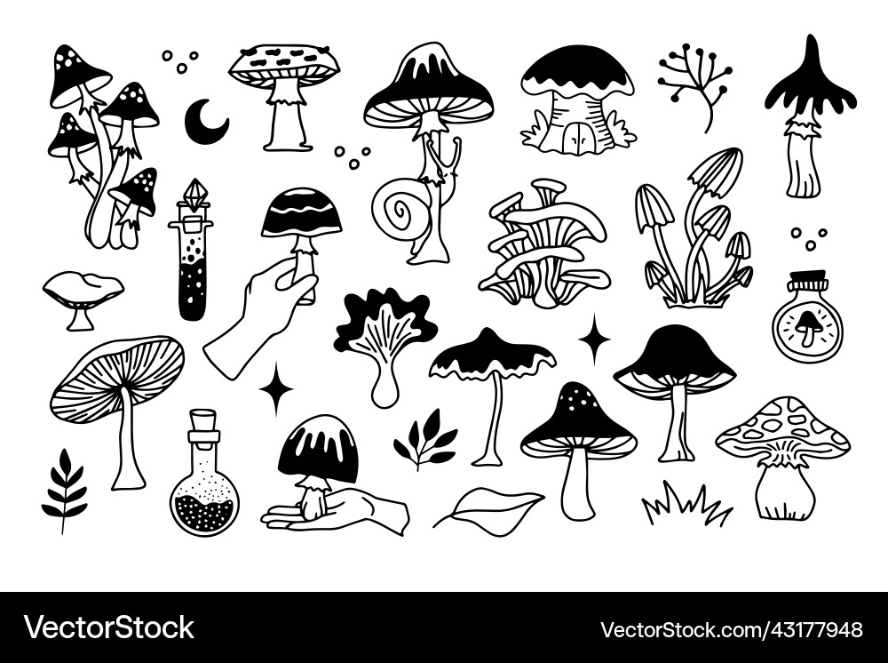 mushroom clip art