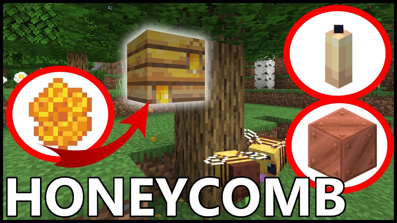 how to get beeswax in minecraft