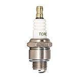 rj19lm spark plug cross reference