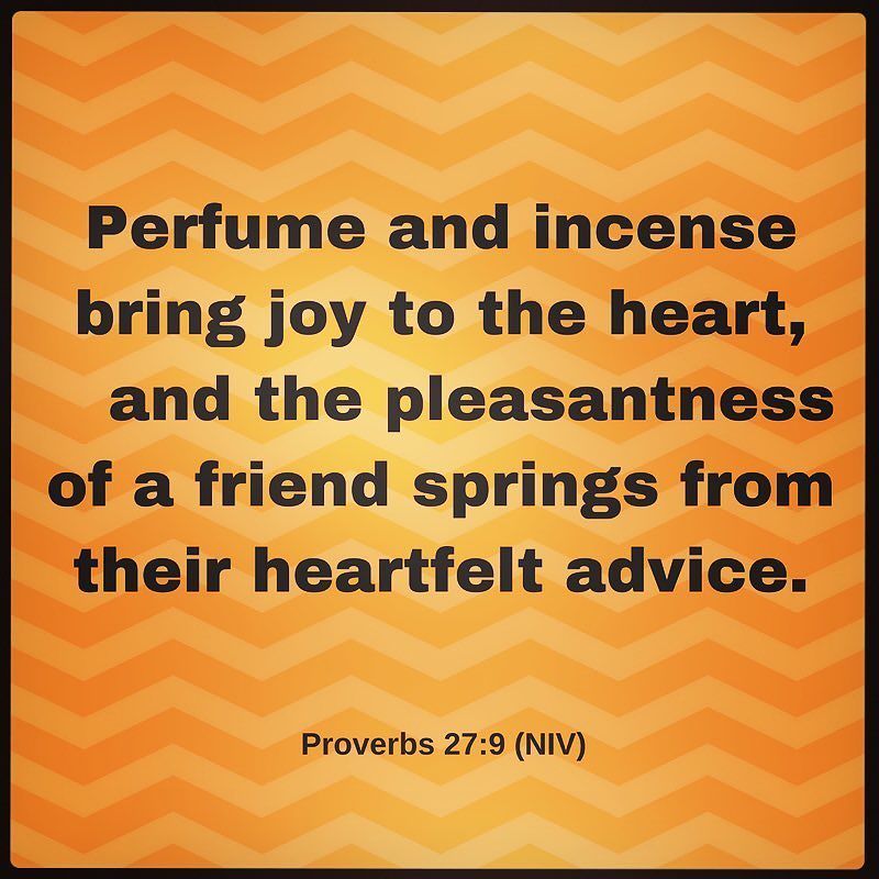 proverbs 27 9 niv