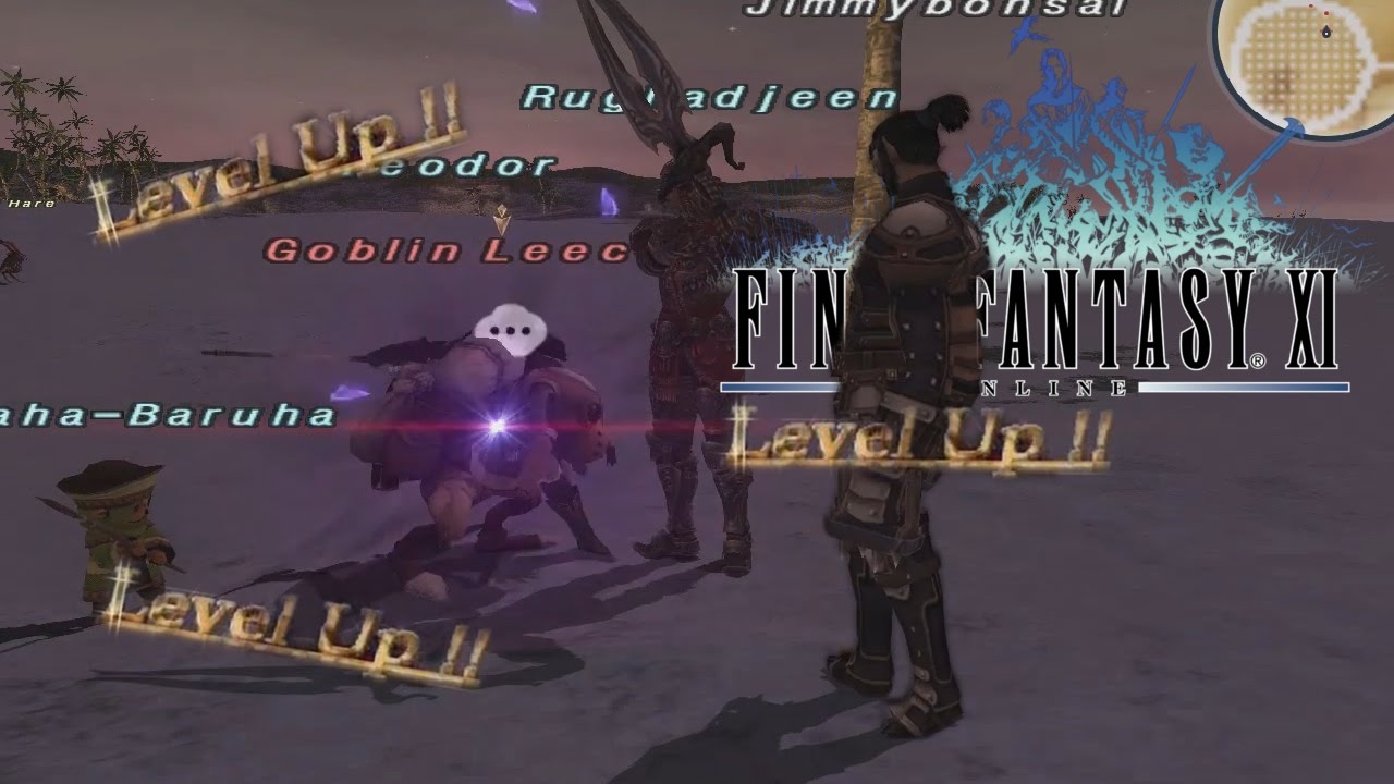 ffxi level