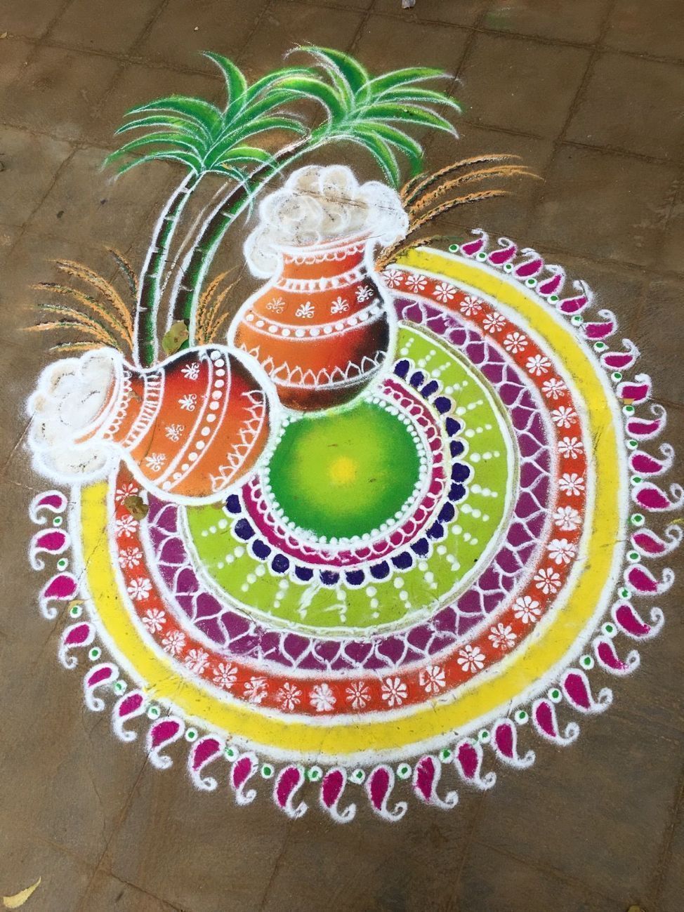 pongal kolam simple designs