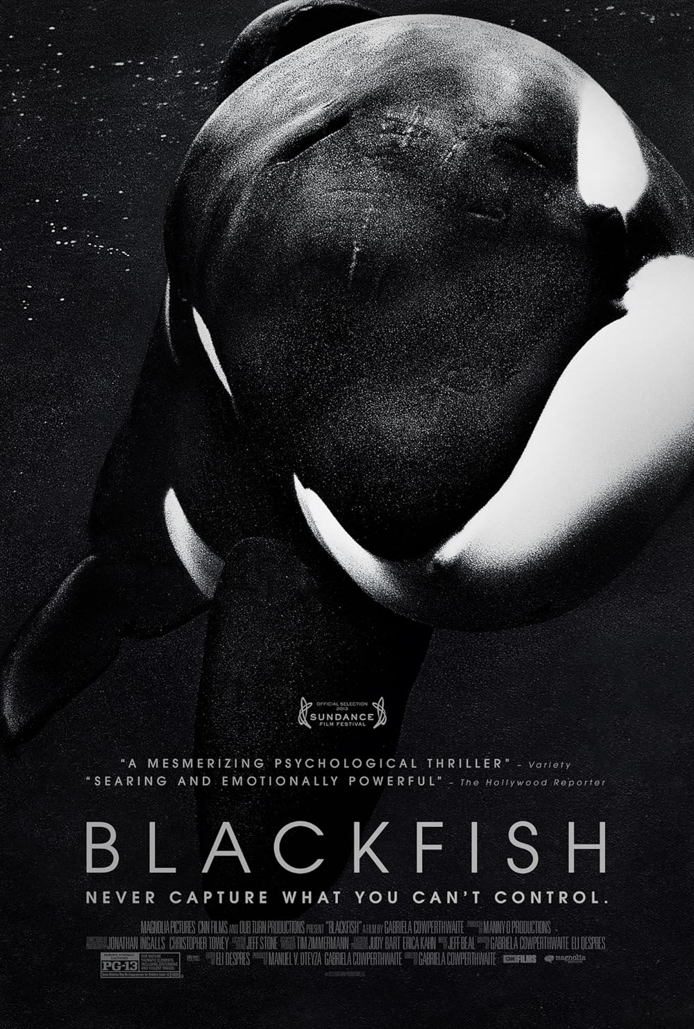 blackfish imdb