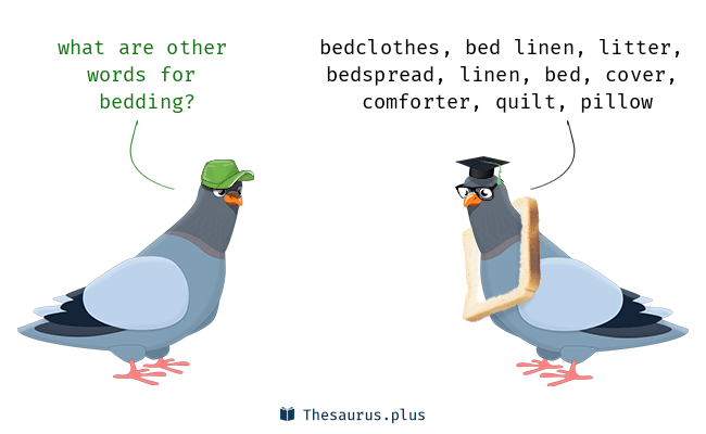 bedding synonym