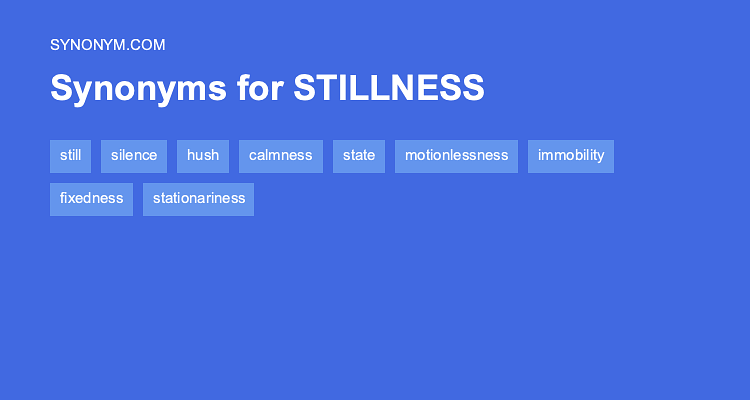 stillness synonym