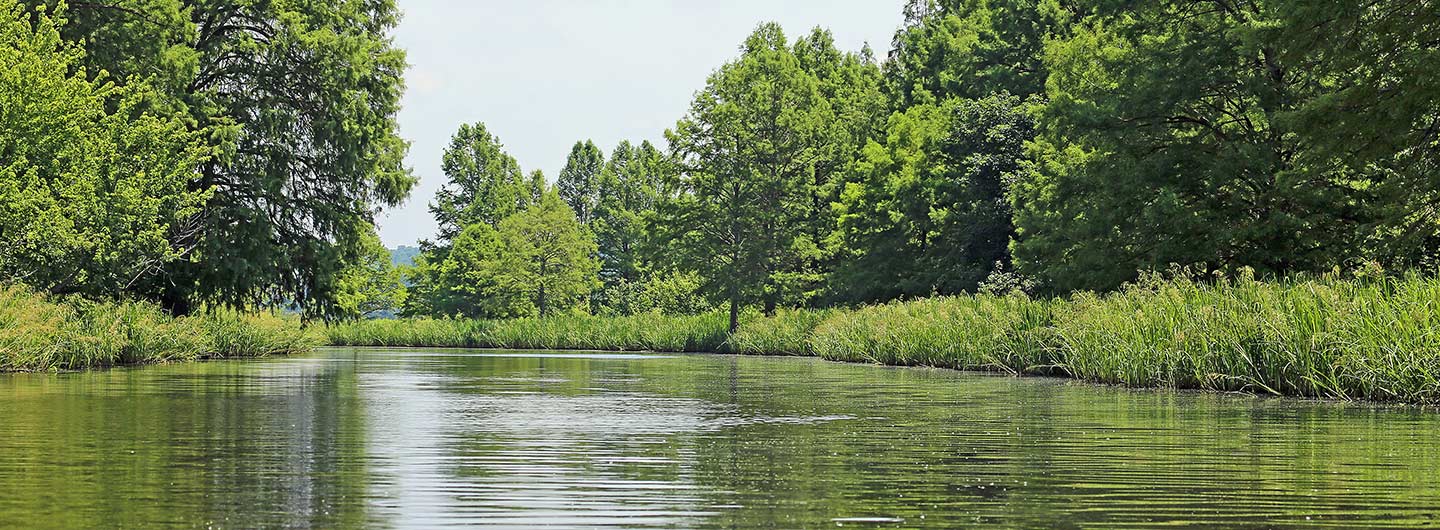 weather in reelfoot lake state park 10 days