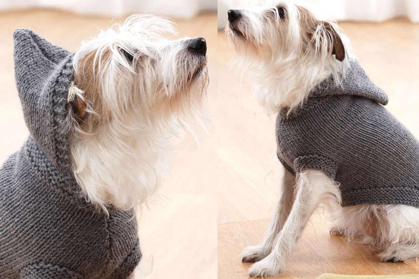 knitting pattern dog coat