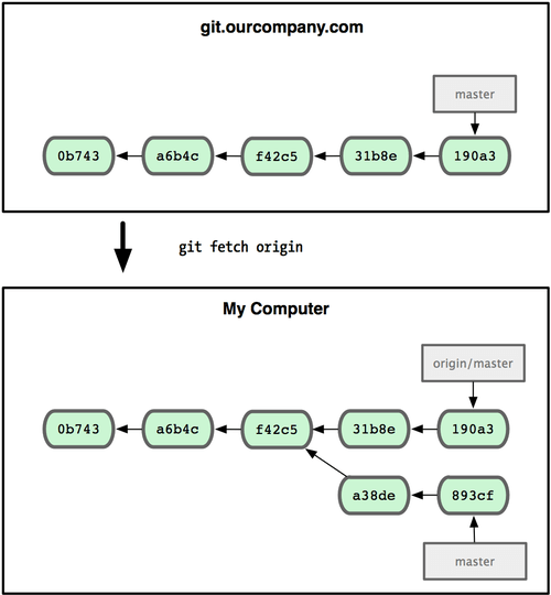 git remote branch