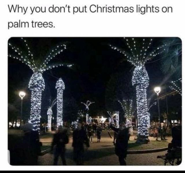 fairy lights meme