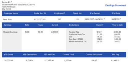 fake pay stub template