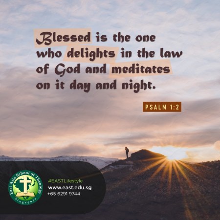 delight in the law of the lord
