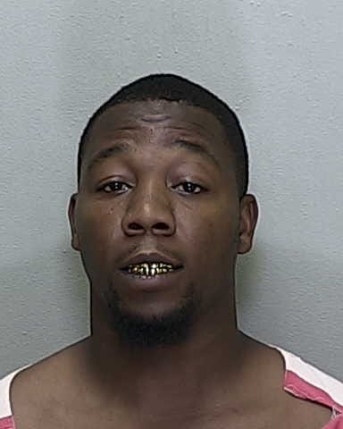 ocala jail mugshots