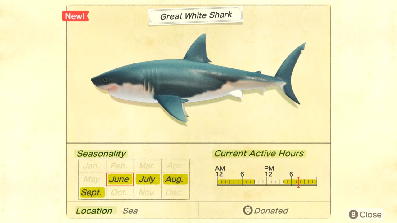 how rare are sharks in animal crossing