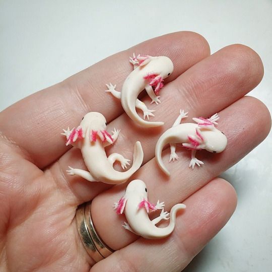 fimo axolotl