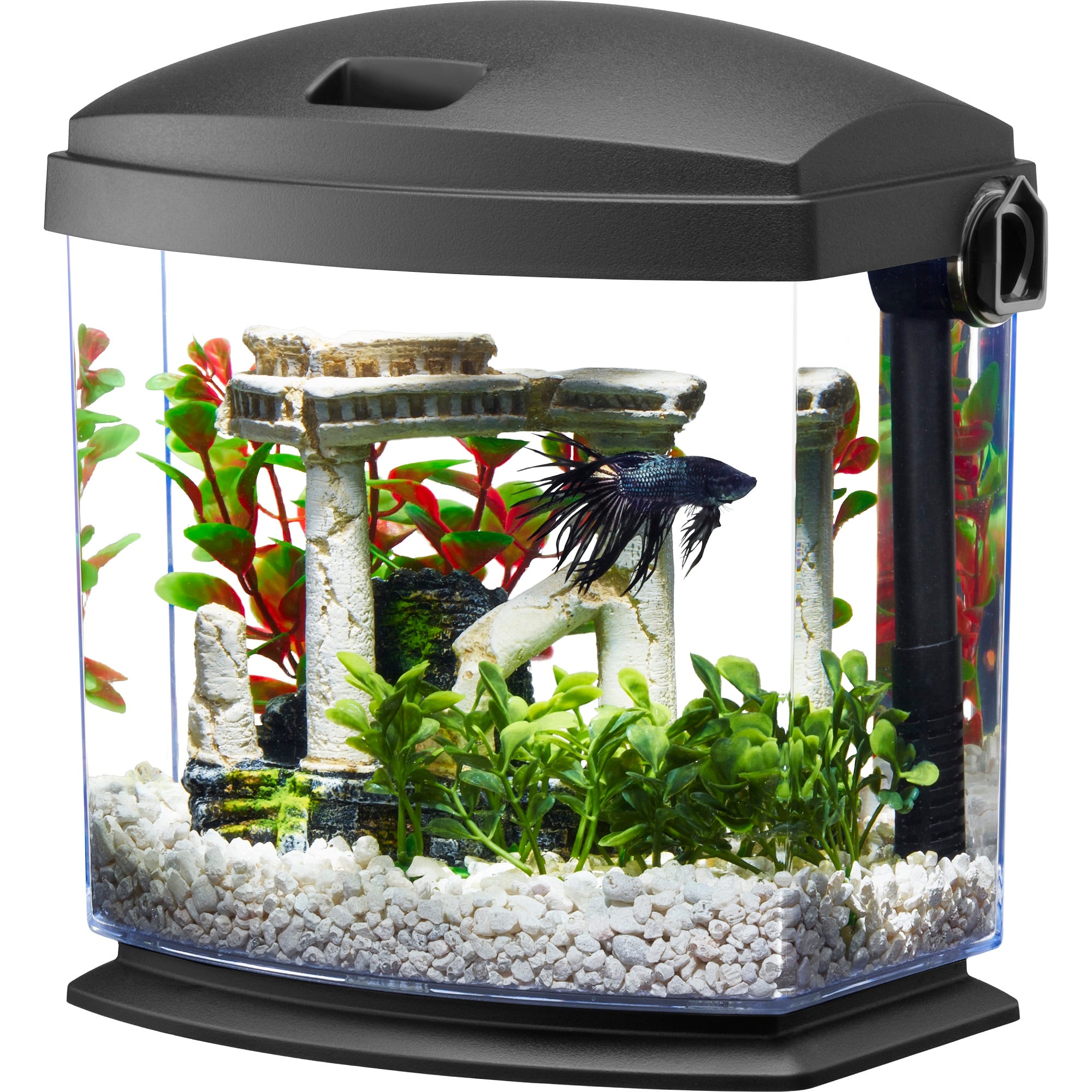 fish tank aqueon