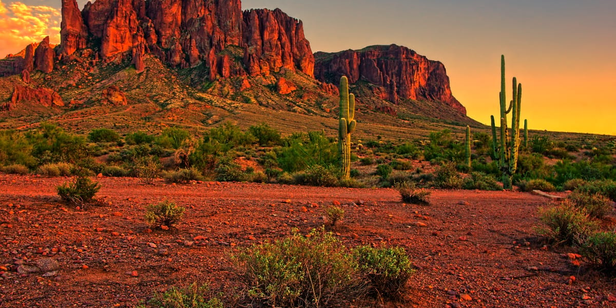 flights from calgary to phoenix arizona