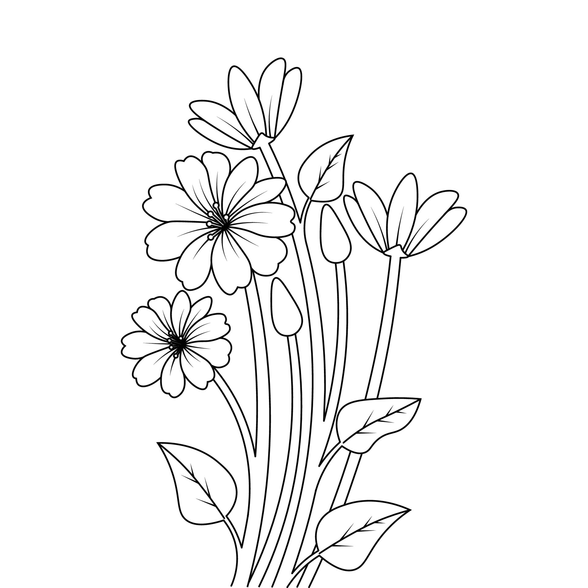 flower drawing clipart