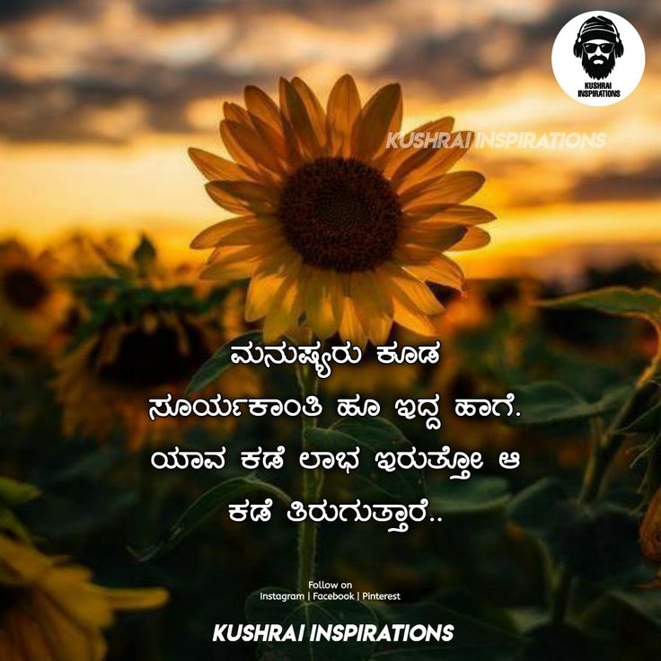 flower quotes in kannada