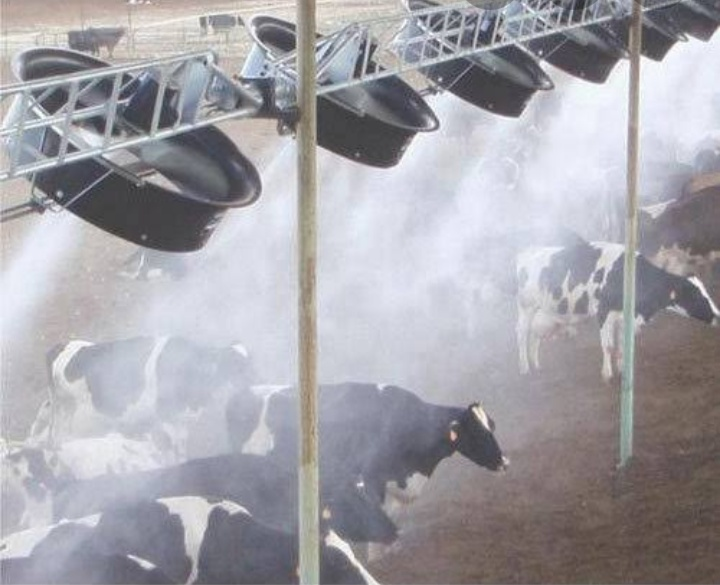 fogger system for dairy farm prices