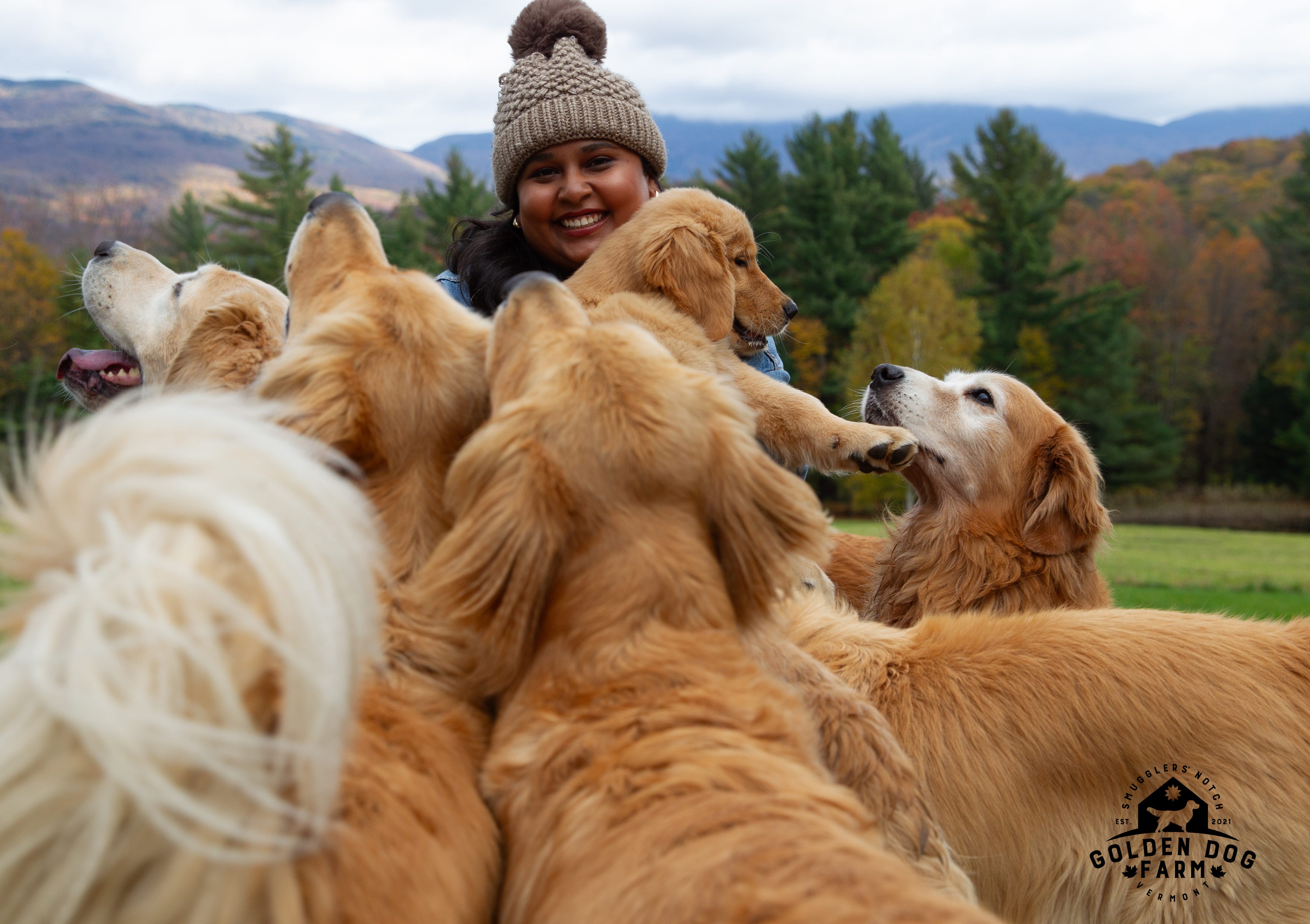 golden dog farm vermont